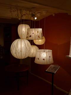 P1000233.jpg