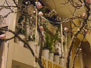 P1000367.jpg