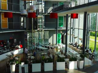 P1000388.jpg